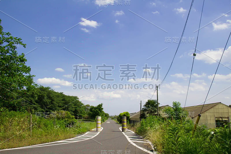 埼玉县小民田