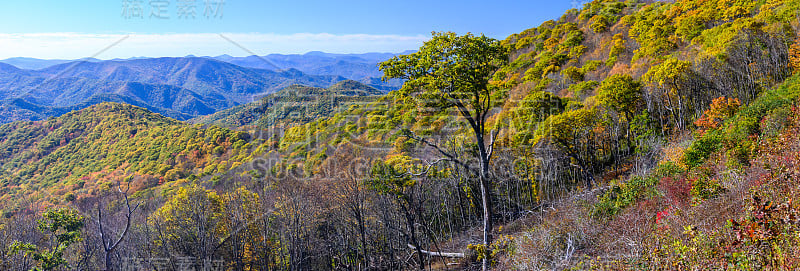 阿巴拉契亚山脉的秋天，沿着蓝岭公园大道观赏