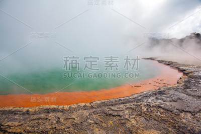 热仙境香槟