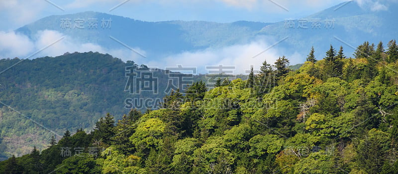 阿巴拉契亚山脉的秋天，沿着蓝岭公园大道观赏