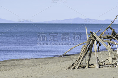 近海岸沼泽地公园海滩