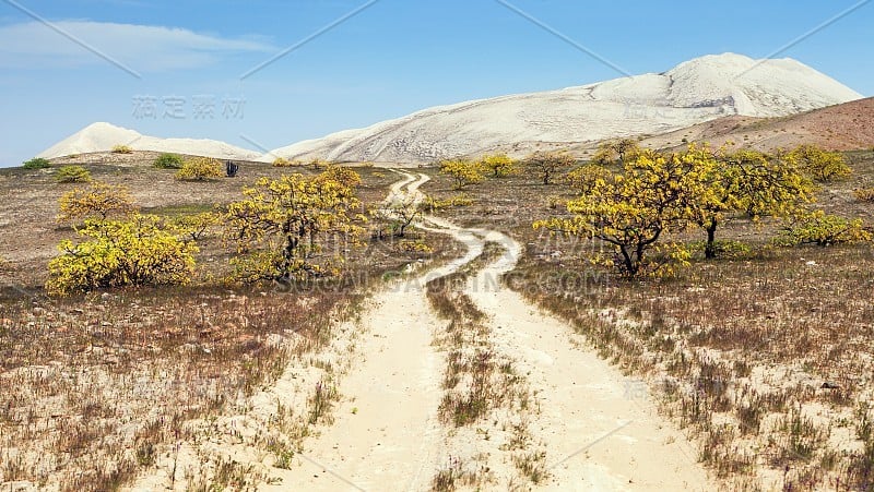 塞罗布兰科沙丘和纳斯卡附近的铺路