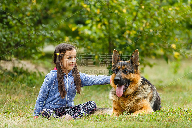 漂亮的小女孩，命令德国牧羊犬坐下。