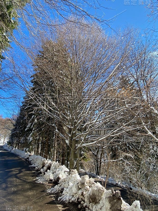 “鲜花广场”，意大利阿尔卑斯山，雪后