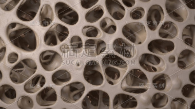 3D CG渲染图像骨质疏松骨微观结构