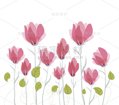 水彩花、罂粟