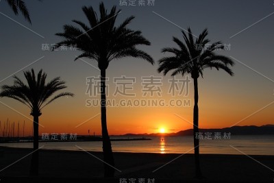 马略卡岛帕尔马-日落
