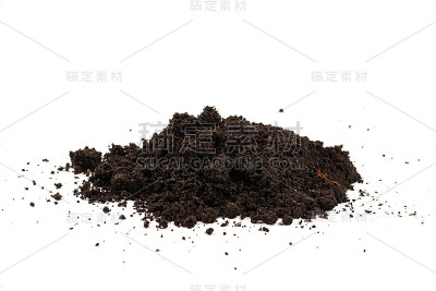 少数的地球孤立在白色的背景上。