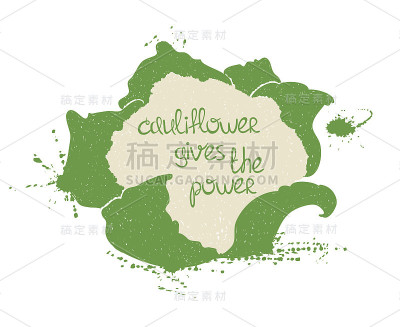 孤立的菜花剪影插图。