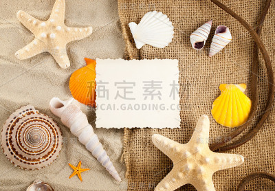 海洋静物。