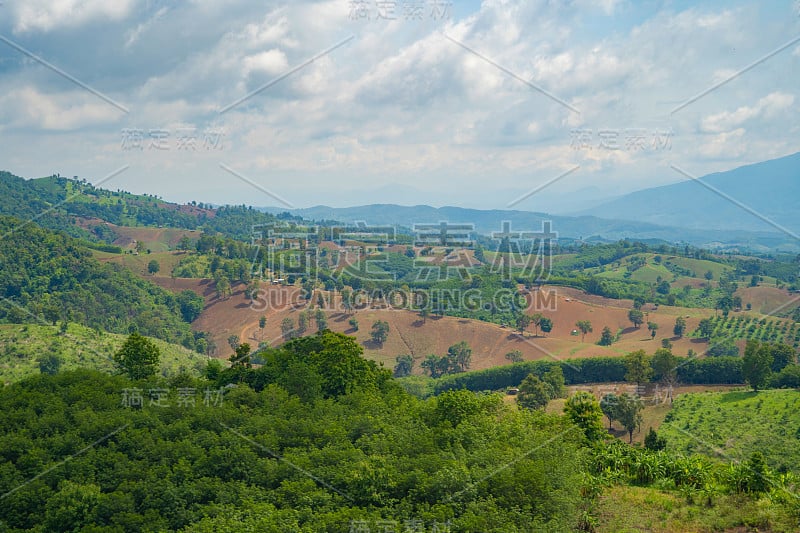 鸟瞰图的森林树木和绿色的山小山。自然景观背景，泰国。