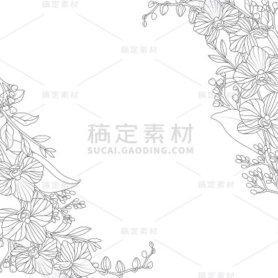 白色背景上的观赏花