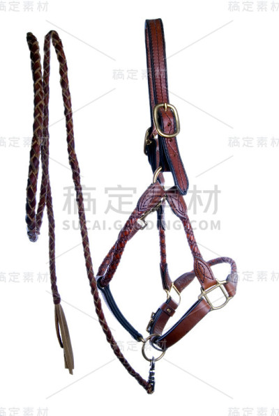 皮革笼头和编织铅绳