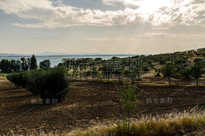 波兰岛:Trasimeno View