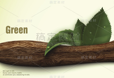 绿色的树叶