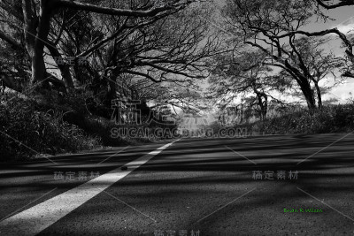 毛伊岛路