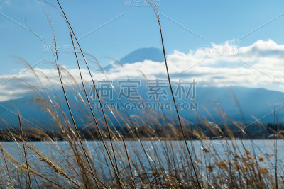 日本——从川口湖眺望富士山的田园诗般的景色