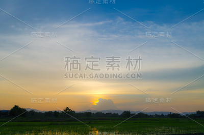亚洲的稻田