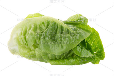 新鲜的绿色，因为生菜孤立在白色的背景
