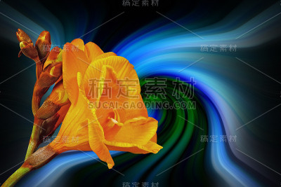 Freesi站在一个彩色的抽象背景前