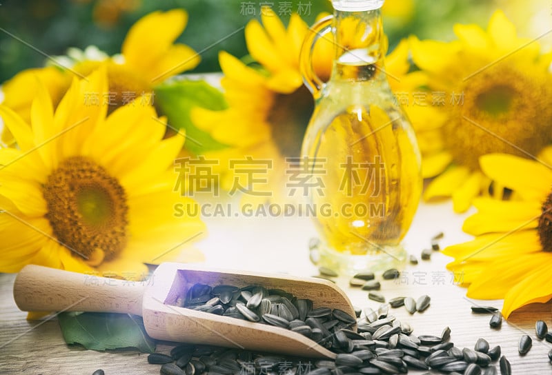 向日葵油在玻璃罐与向日葵花