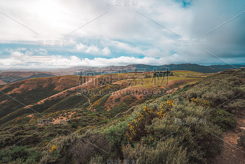 惠灵顿乡村的自然景观-马卡拉