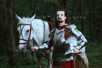 骑士在森林