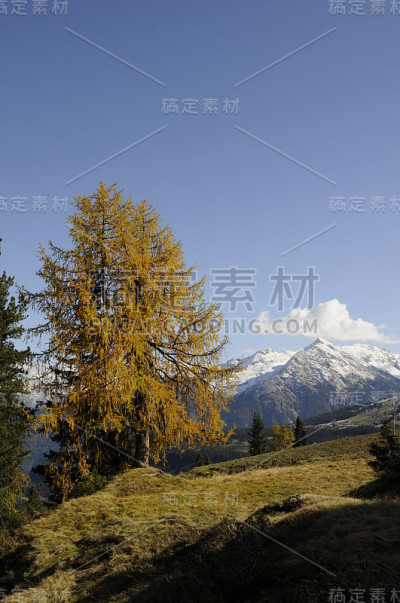 秋天的山林(奥地利)