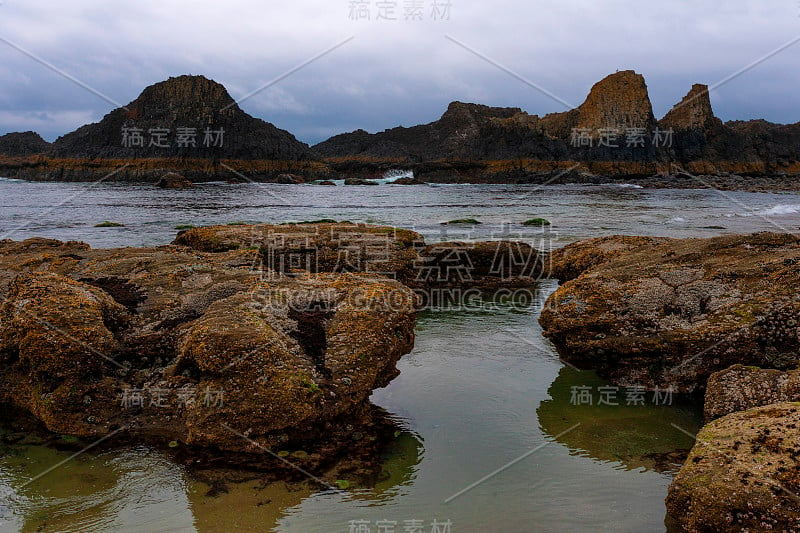 俄勒冈海岸的海豹岩海滩