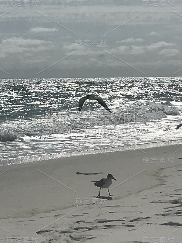 海滩场景……