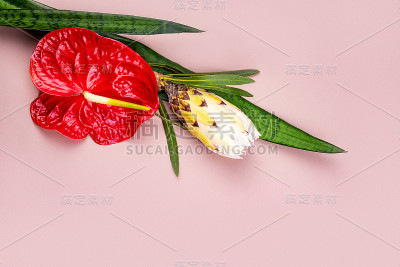 五颜六色的鲜花花束。