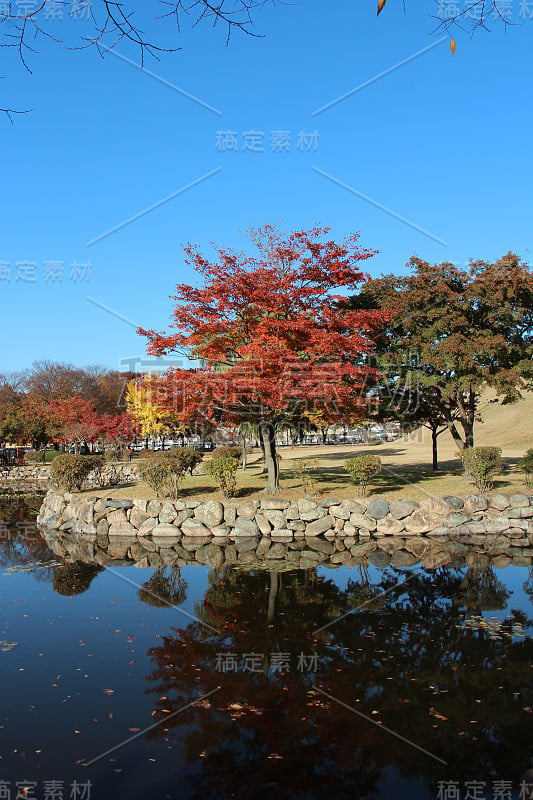 庆州大陵园皇家陵墓的秋景