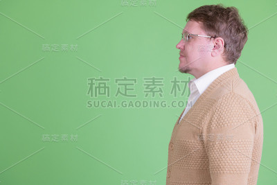 侧面的英俊超重的胡子男人与眼镜