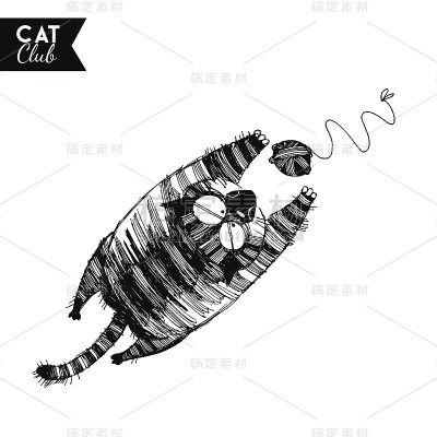 有趣的猫的性格