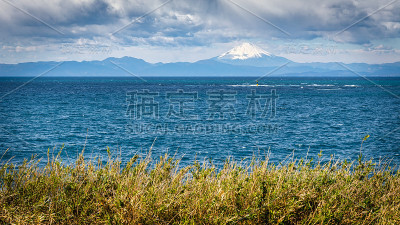 从三浦