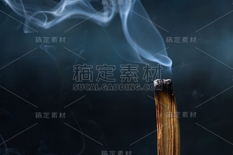 Palo Santo, Bursera gravolens，神圣的神圣树棒