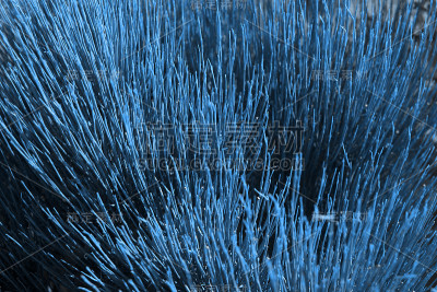 美丽自然时尚的蓝色背景。