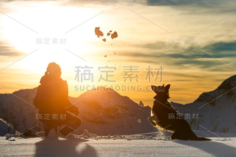 女孩和边境牧羊犬在雪地里玩耍