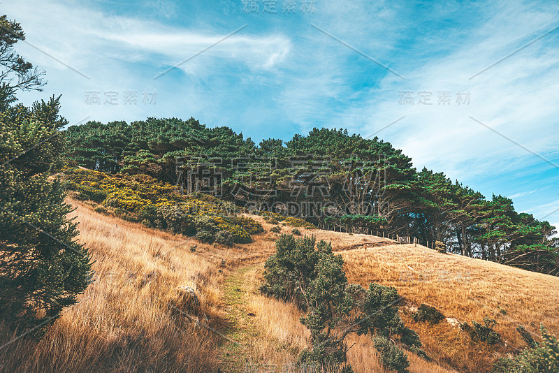 新西兰惠灵顿马卡拉海滩的风景