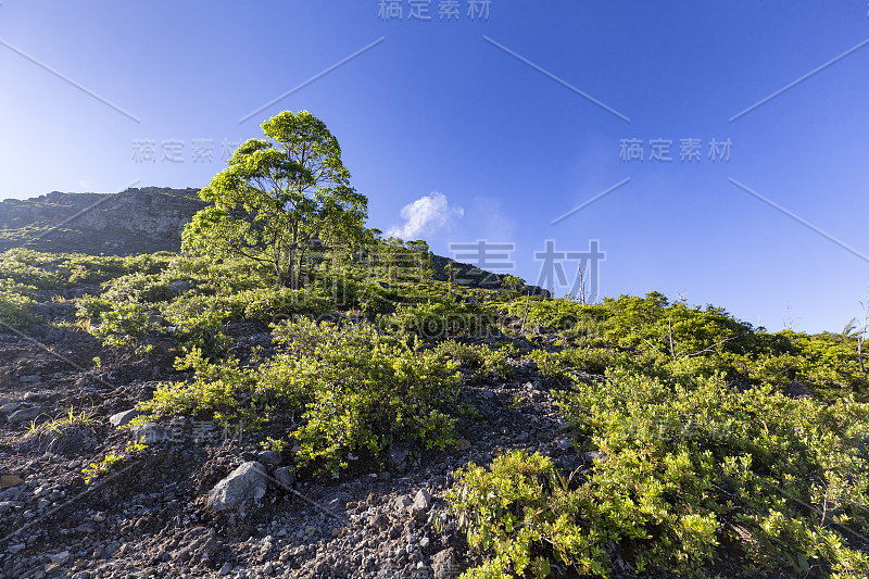 大多山徒步旅行