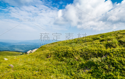 山脉山坡上的夏季草地