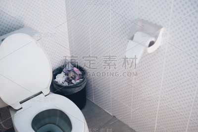 浴室内部有抽水马桶、垃圾桶和厕纸
