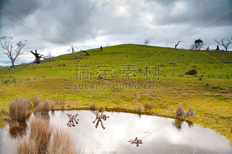 在一个暴风雨的下午，博思韦尔附近的树木