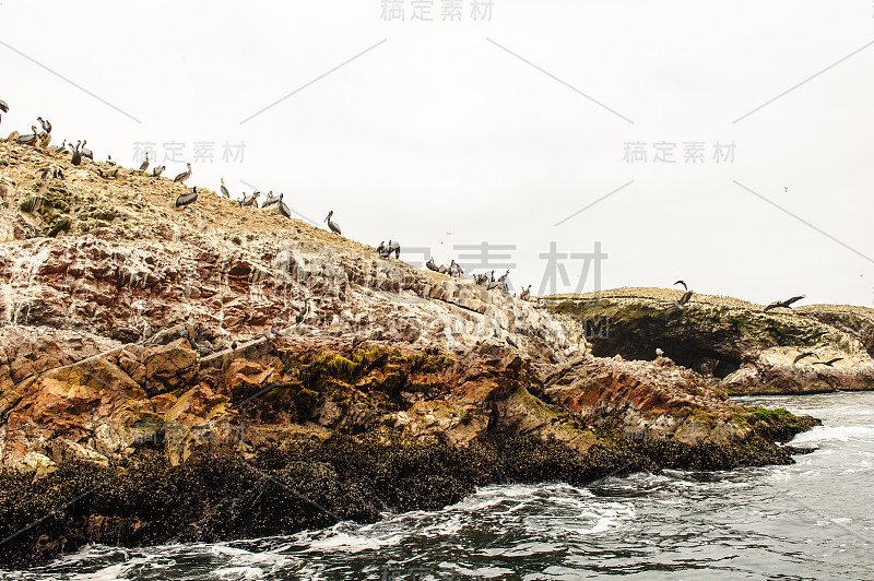 在拉丁美洲秘鲁的巴雷斯塔斯群岛，鹈鹕和其他鸟类飞过岩石