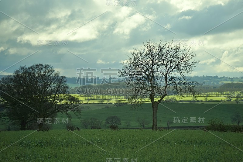 北安普敦郡乡村