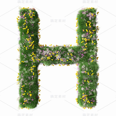 字母H上的花草地