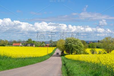 在瑞典南部一个阳光明媚的日子里，穿过乐土
