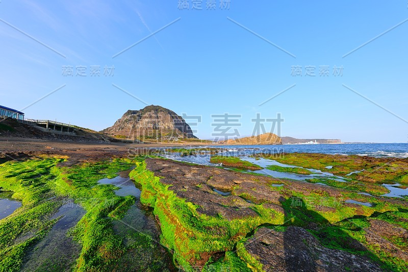 三邦，海滩，海岸，海滩，海岸，海岸，海草，龙头海岸，