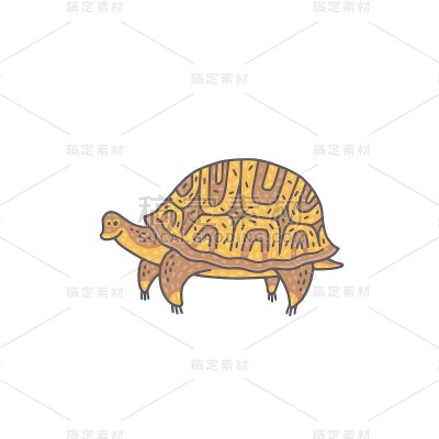 可爱的乌龟的动物。卡通色彩缤纷的人物插图。