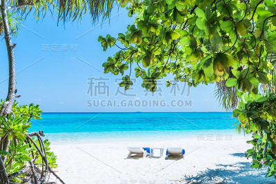 热带海滩上的躺椅。泻湖碧绿的水。
